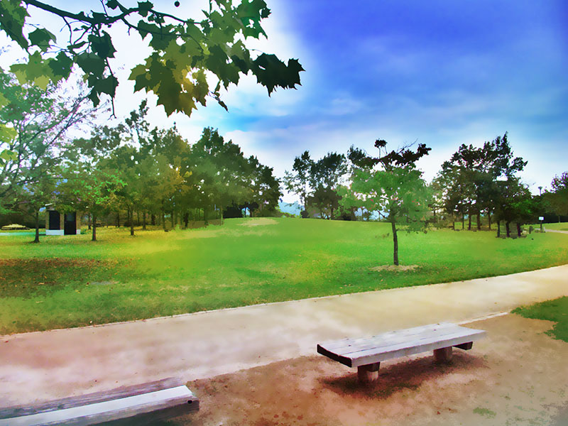 公園背景 Amrowebdesigners Com